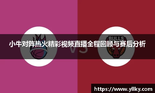 小牛对阵热火精彩视频直播全程回顾与赛后分析